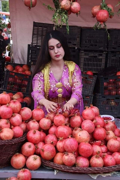 shirin ramezani shared a post