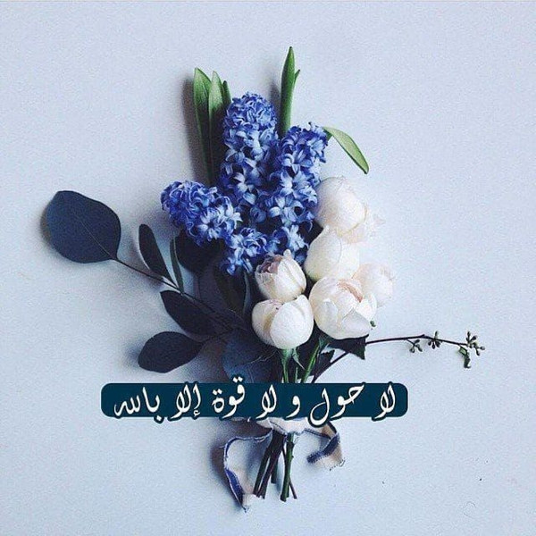 Shahjhan Shahjhan shared a post