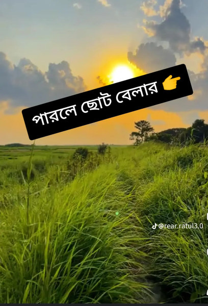 Md Rafi shared a post