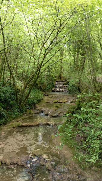 Dordogne 