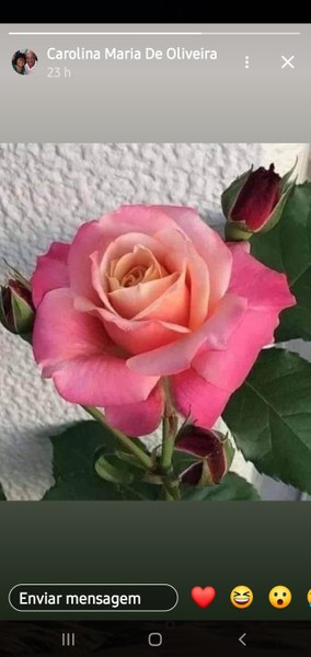 Betty Nuunes shared a post